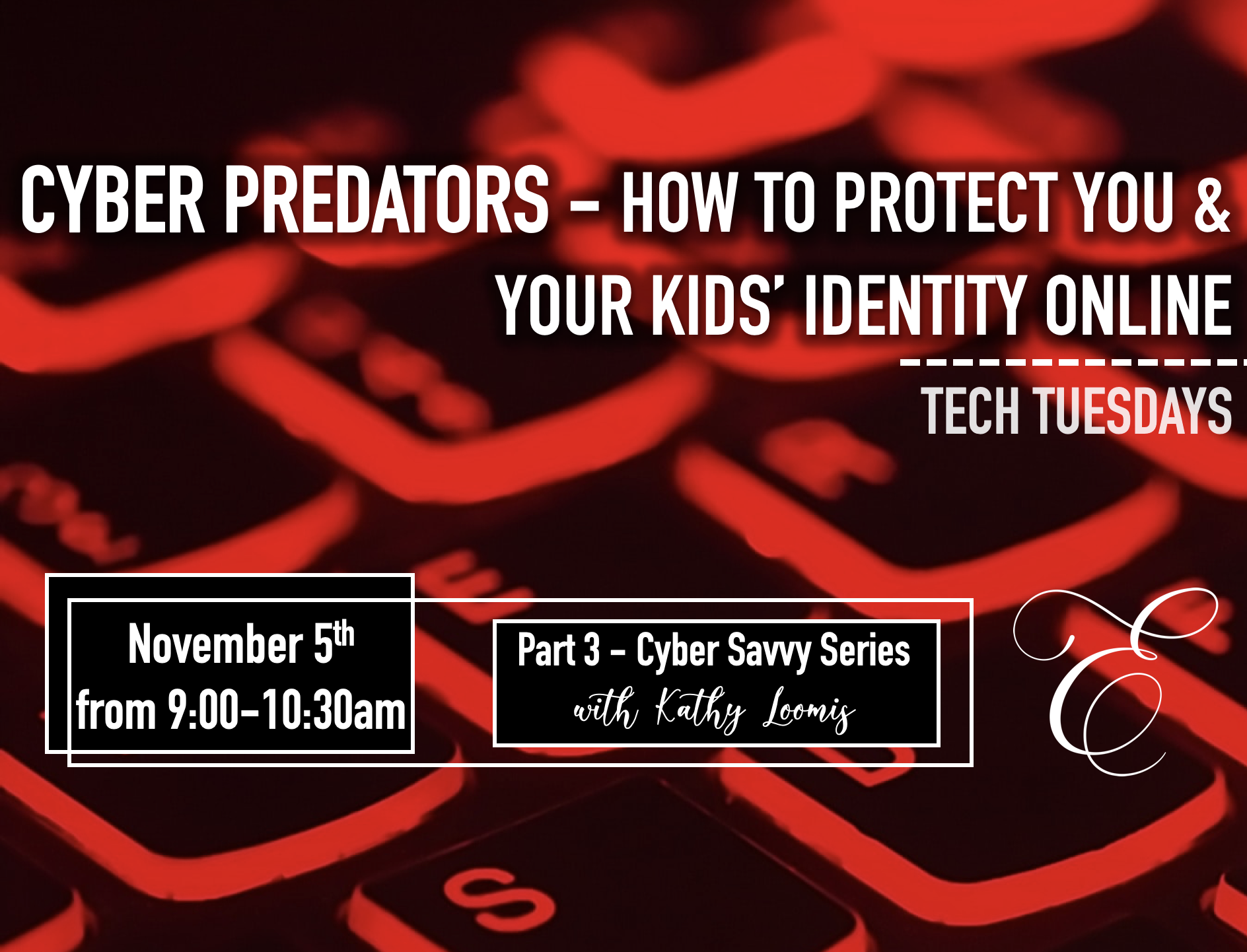 Cyber Savvy Part 3: Cyber Predators - How to Protect You & Your Kids' Identity Online